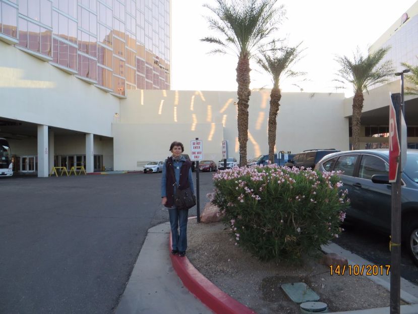  - SUA2_Valley of Fire_Zion National Park_Bryce Canyon_Grand Canyon