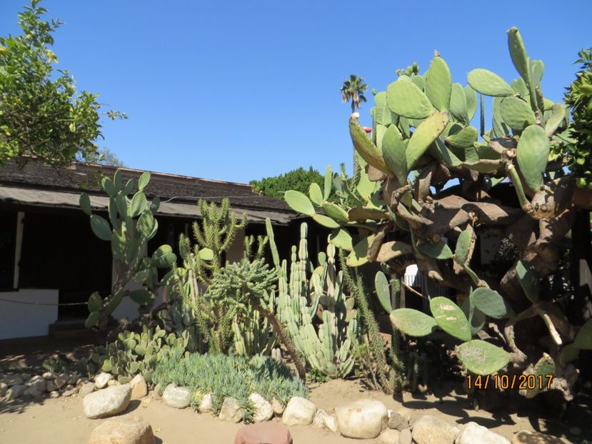  - SUA2_Valley of Fire_Zion National Park_Bryce Canyon_Grand Canyon