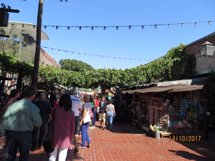  - SUA2_Valley of Fire_Zion National Park_Bryce Canyon_Grand Canyon