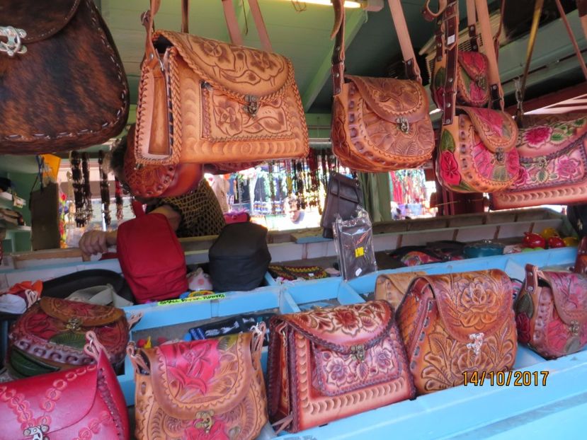  - SUA2_Valley of Fire_Zion National Park_Bryce Canyon_Grand Canyon