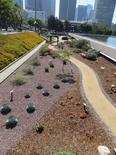  - SUA2_Valley of Fire_Zion National Park_Bryce Canyon_Grand Canyon