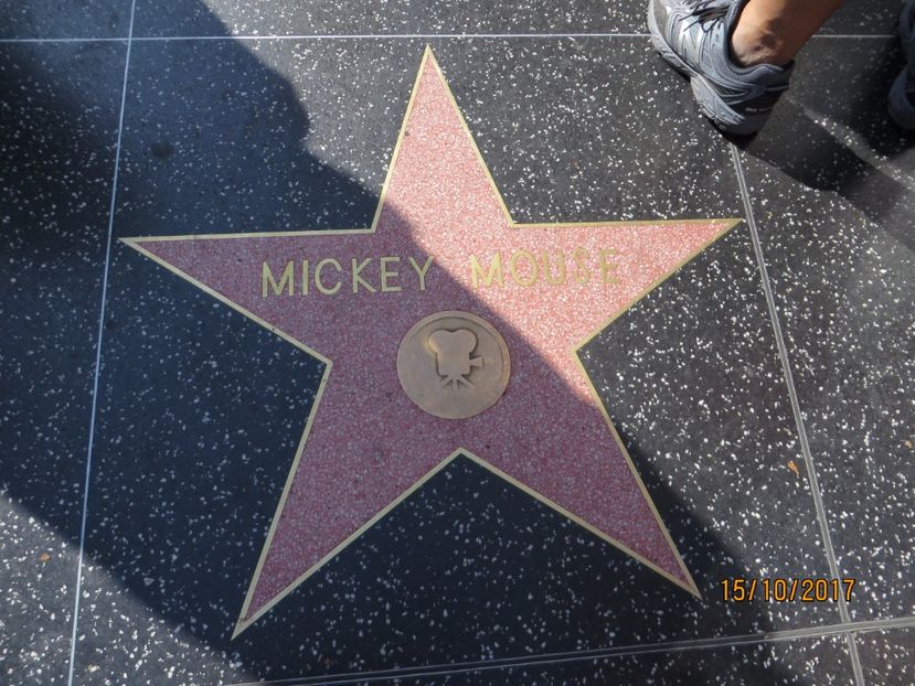  - SUA2_Valley of Fire_Zion National Park_Bryce Canyon_Grand Canyon