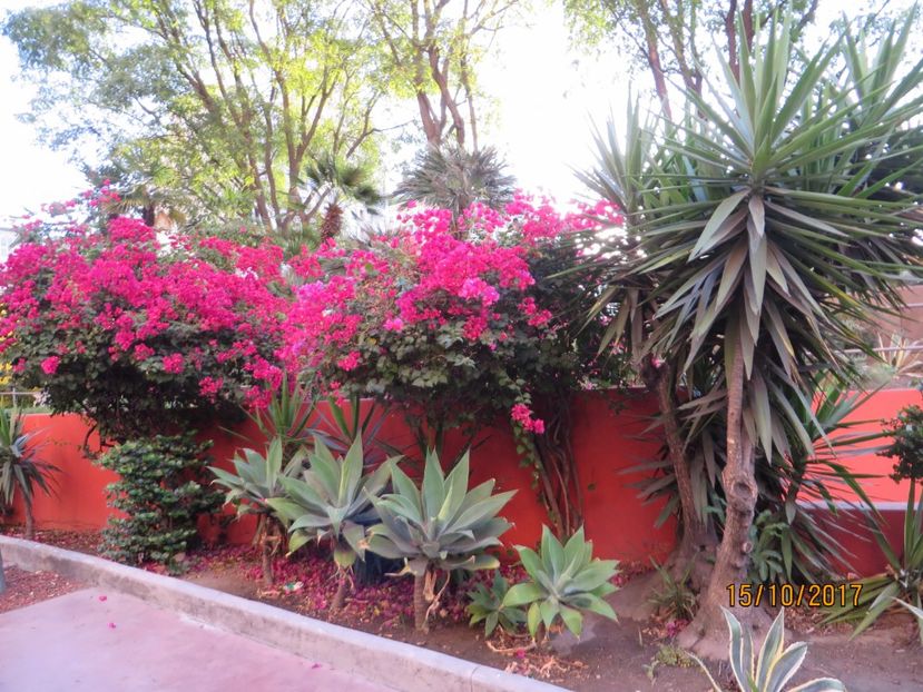  - SUA3_Los Angeles