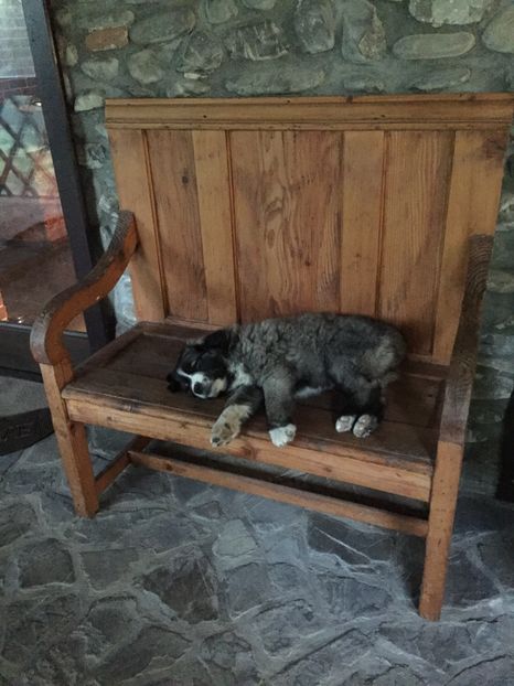 13 oct.2017 - MARA DE CROITORU