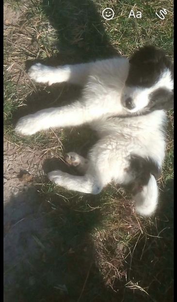 relax la soare - Cuib 2017