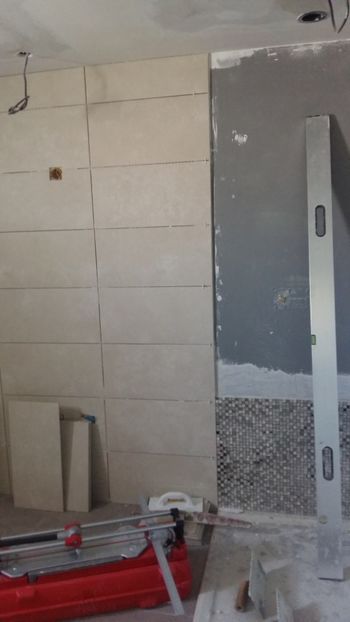  - Lucrari in Lyon 2018