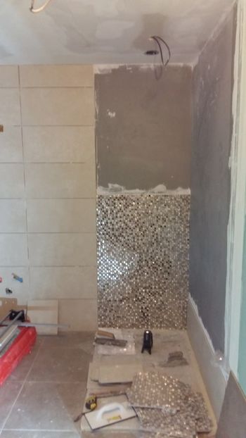  - Lucrari in Lyon 2018