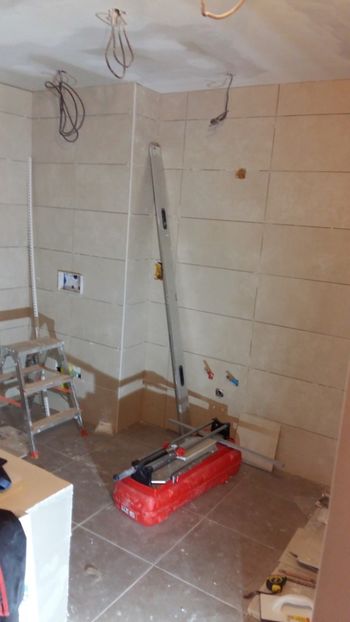  - Lucrari in Lyon 2018