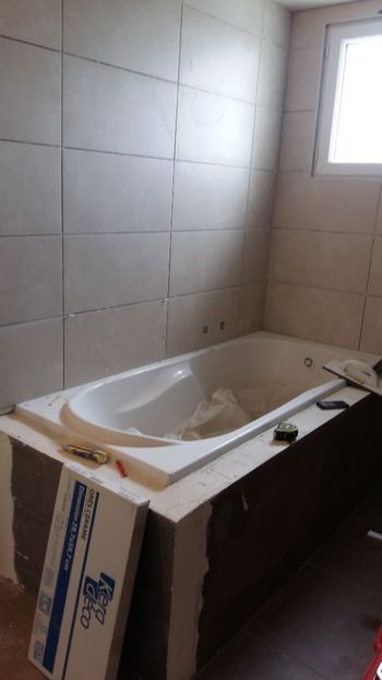  - Lucrari in Lyon 2018