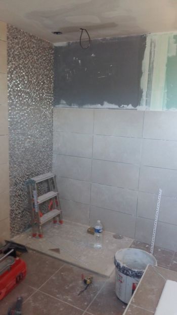  - Lucrari in Lyon 2018