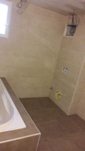  - Lucrari in Lyon 2018