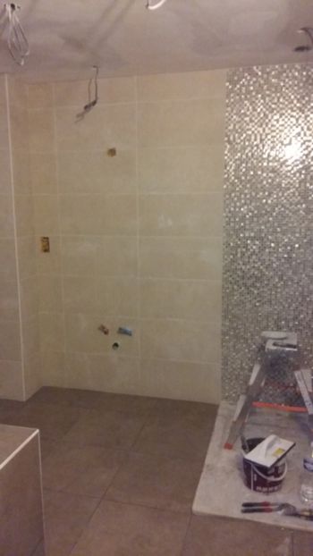  - Lucrari in Lyon 2018