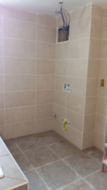  - Lucrari in Lyon 2018