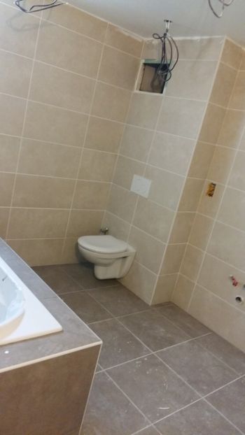  - Lucrari in Lyon 2018