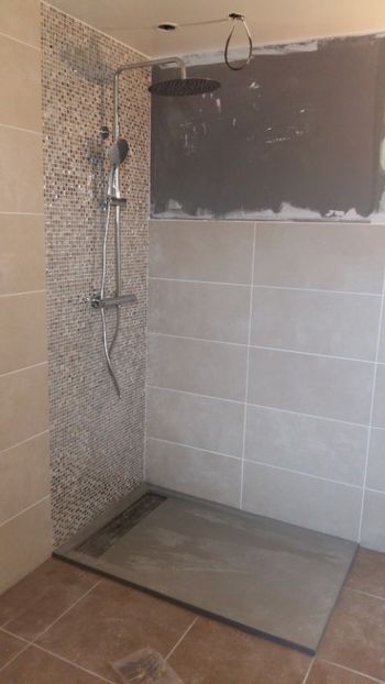  - Lucrari in Lyon 2018