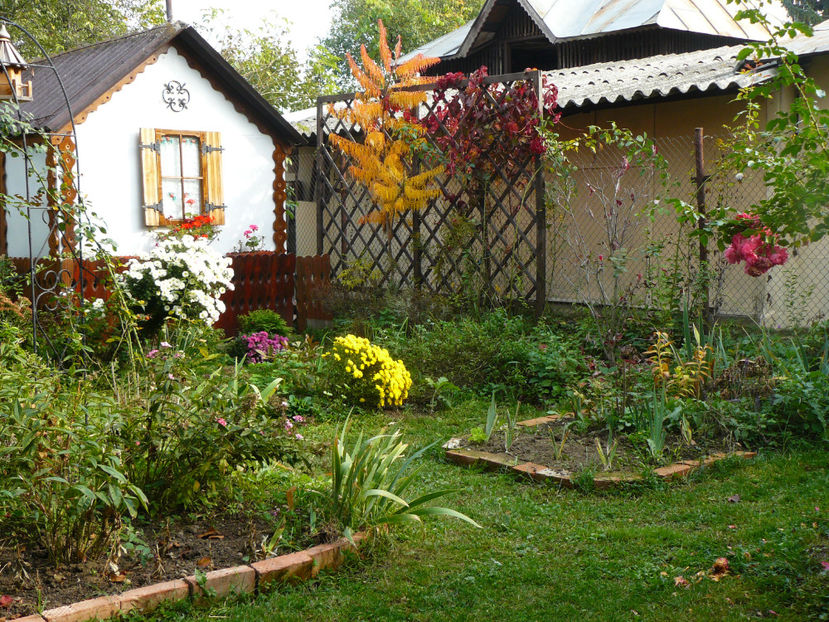 Cornusul s-a scuturat. Am ratat pozele :-( - 2017 Pridvor