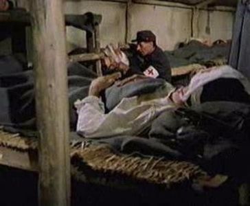 Pentru Patrie - Pentru Patrie 1977