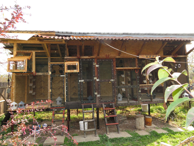  - Vila Paradis - acum de 5 stele