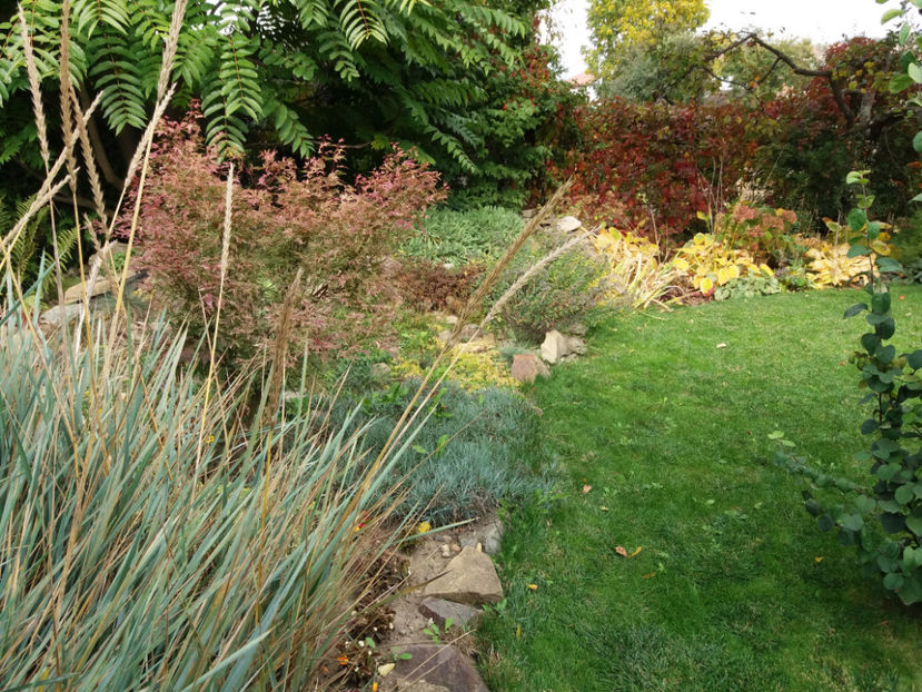 Picture 032 - Stralucire