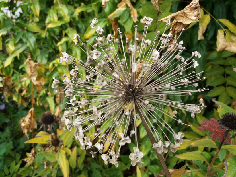 Picture 041 - Stralucire