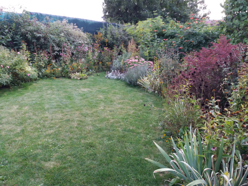 Picture 043 - Stralucire