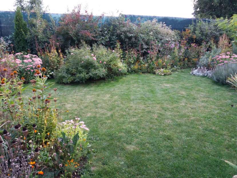 Picture 044 - Stralucire