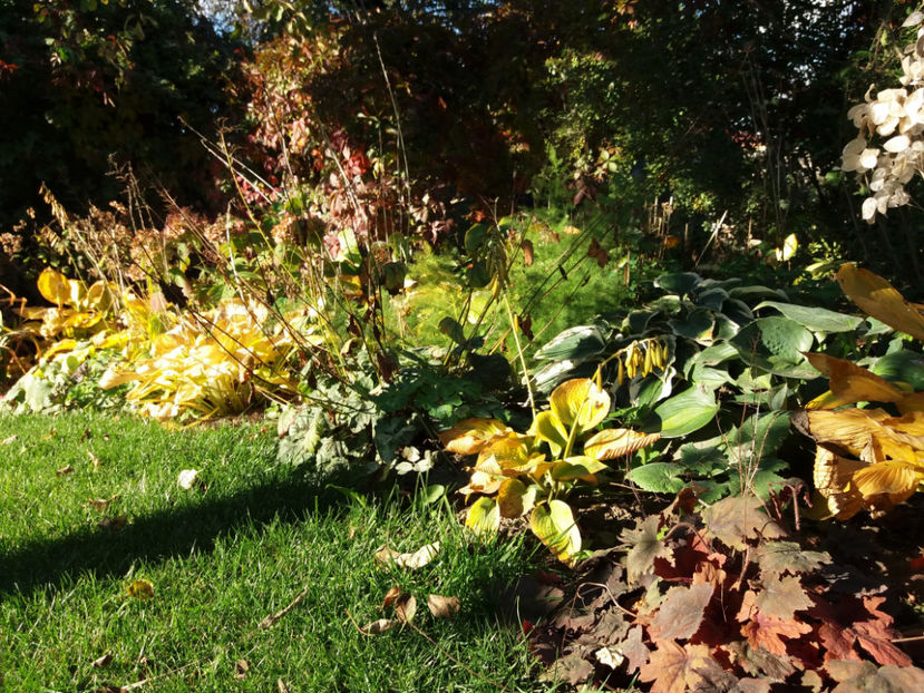 Picture 057 - Stralucire