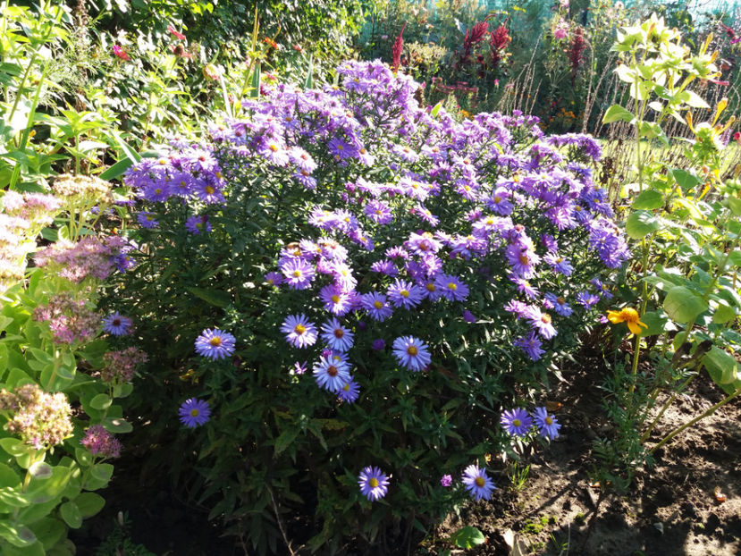 Picture 062 - Stralucire