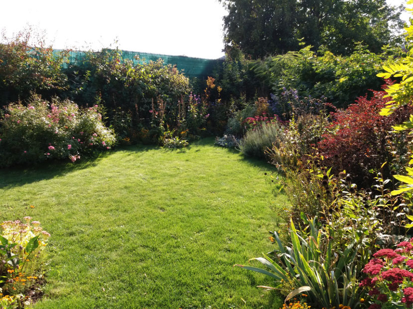 Picture 076 - Stralucire