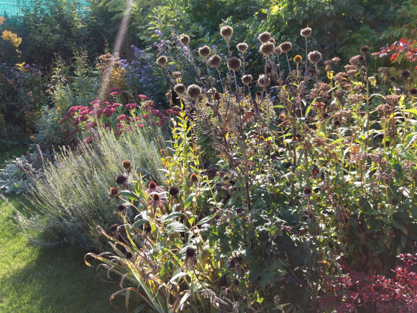 Picture 077 - Stralucire