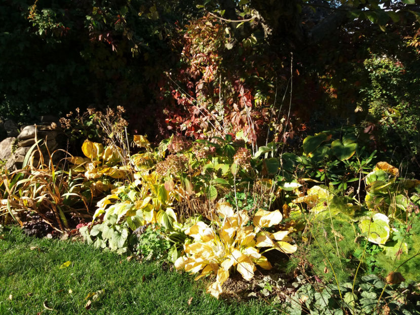 Picture 081 - Stralucire