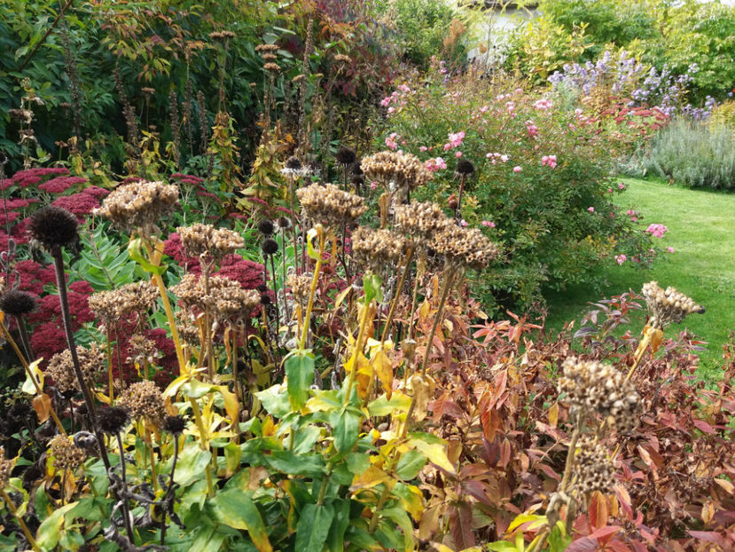 Picture 093 - Stralucire