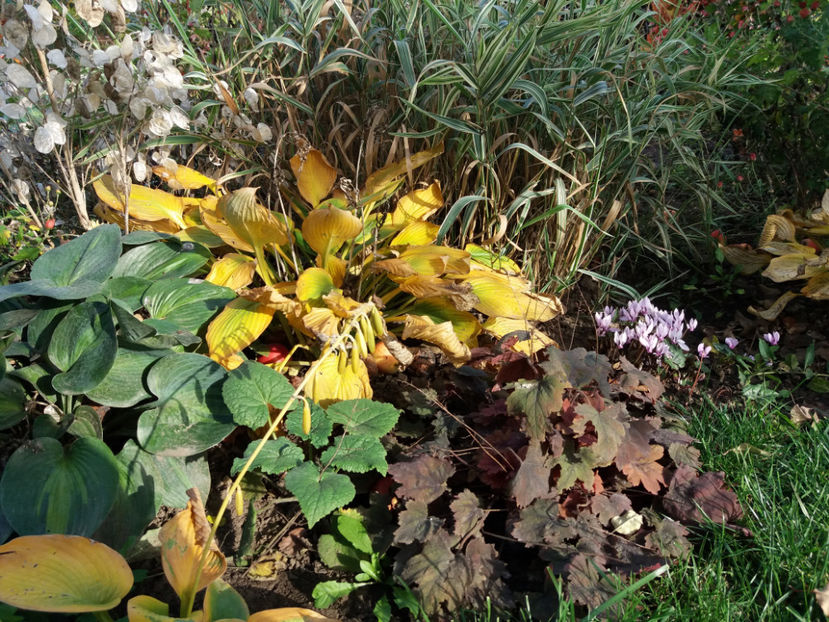 Picture 094 - Stralucire