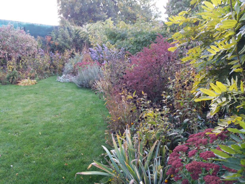 Picture 095 - Stralucire