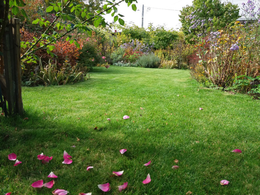 Picture 102 - Stralucire