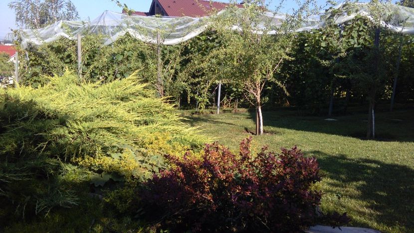 IMG-20160630-WA0002 - Via nobila