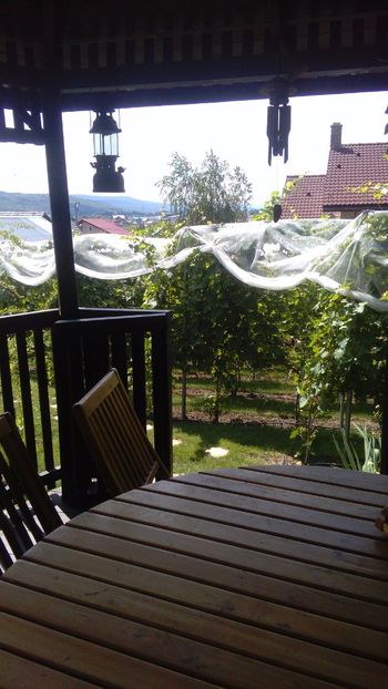 IMG-20160702-WA0002 - Via nobila