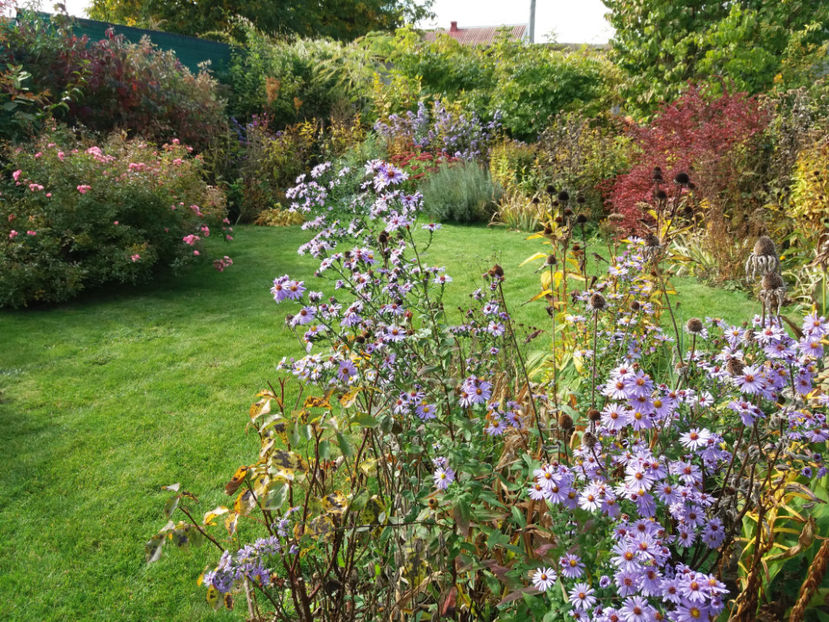 Picture 113 - Stralucire