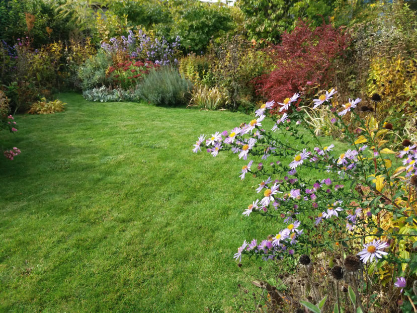 Picture 115 - Stralucire