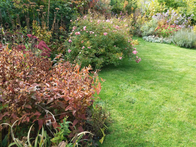 Picture 116 - Stralucire