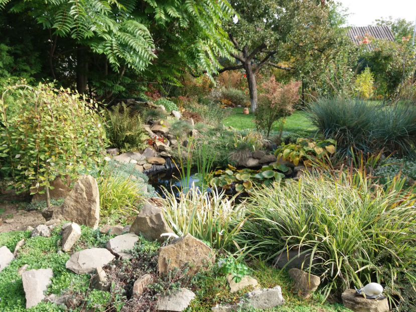 Picture 122 - Stralucire