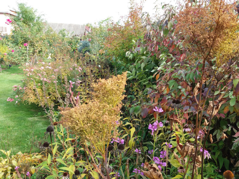 Picture 150 - Stralucire