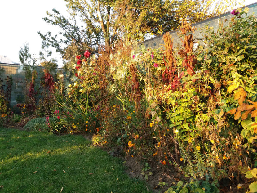 Picture 178 - Stralucire