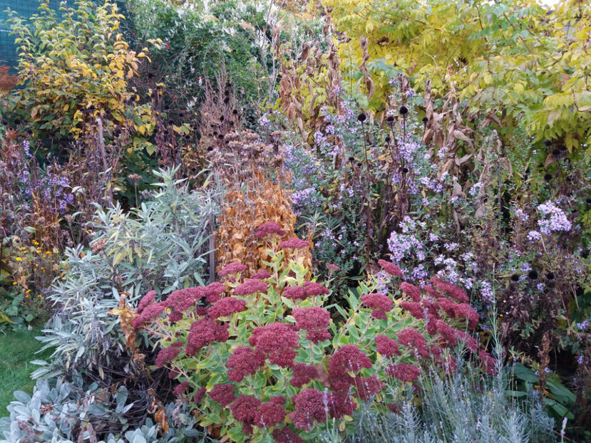 Picture 187 - Stralucire