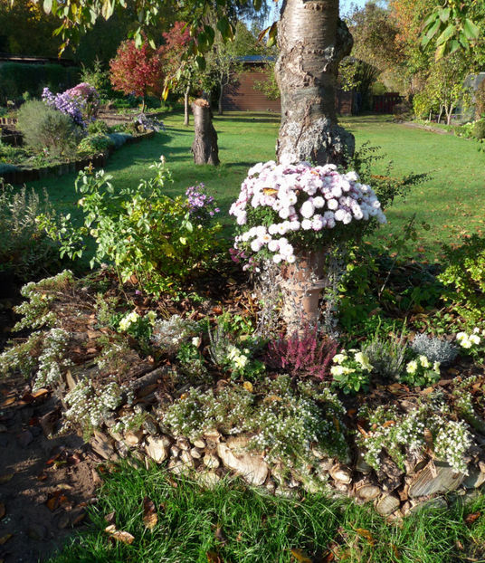  - 2017 - 03 - Toamna