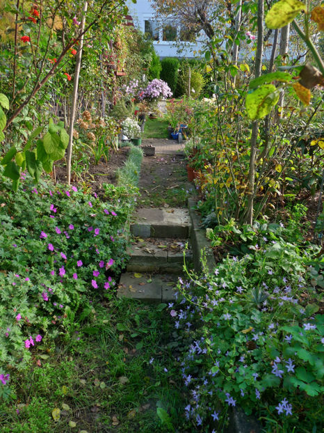  - 2017 - 03 - Toamna