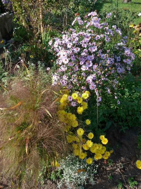  - 2017 - 03 - Toamna