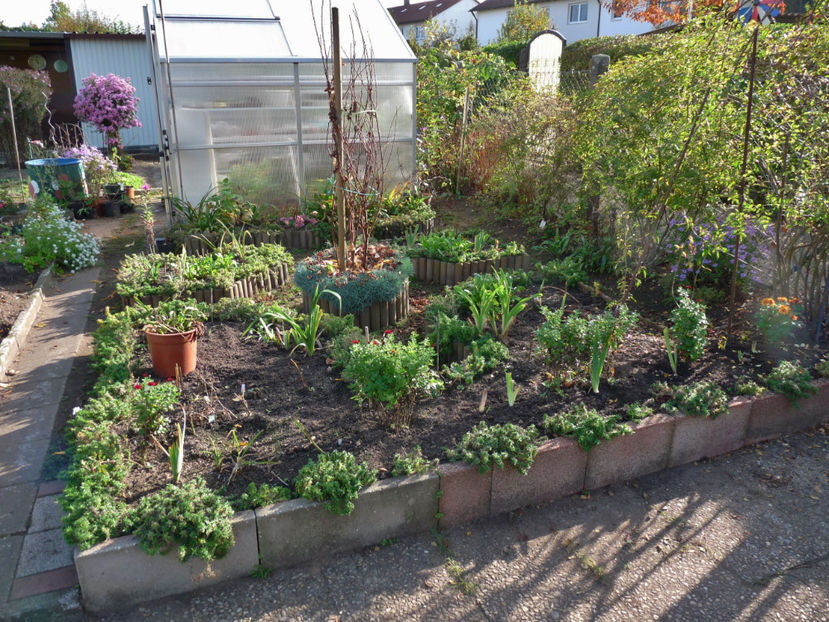  - 2017 - 03 - Toamna