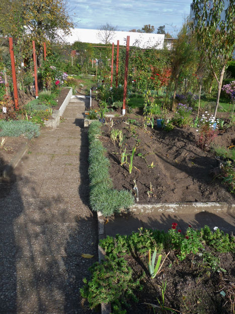  - 2017 - 03 - Toamna