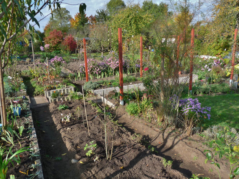  - 2017 - 03 - Toamna